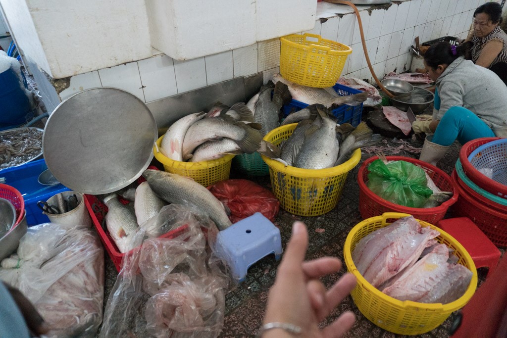 fish market in southeast asia