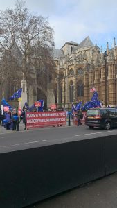 Brexit Protests