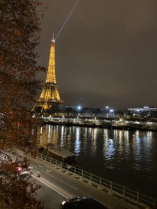 view of the eiffel tower from the sidelines of the seine river