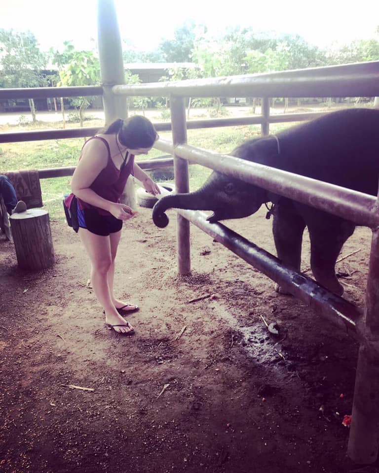 student petting a baby elephant in Thailand
