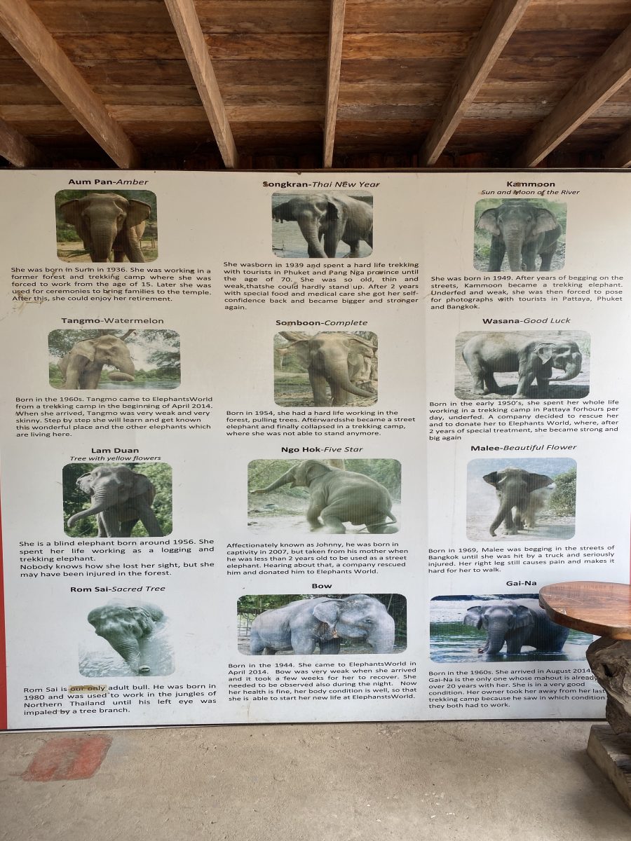 Names of the Elephants