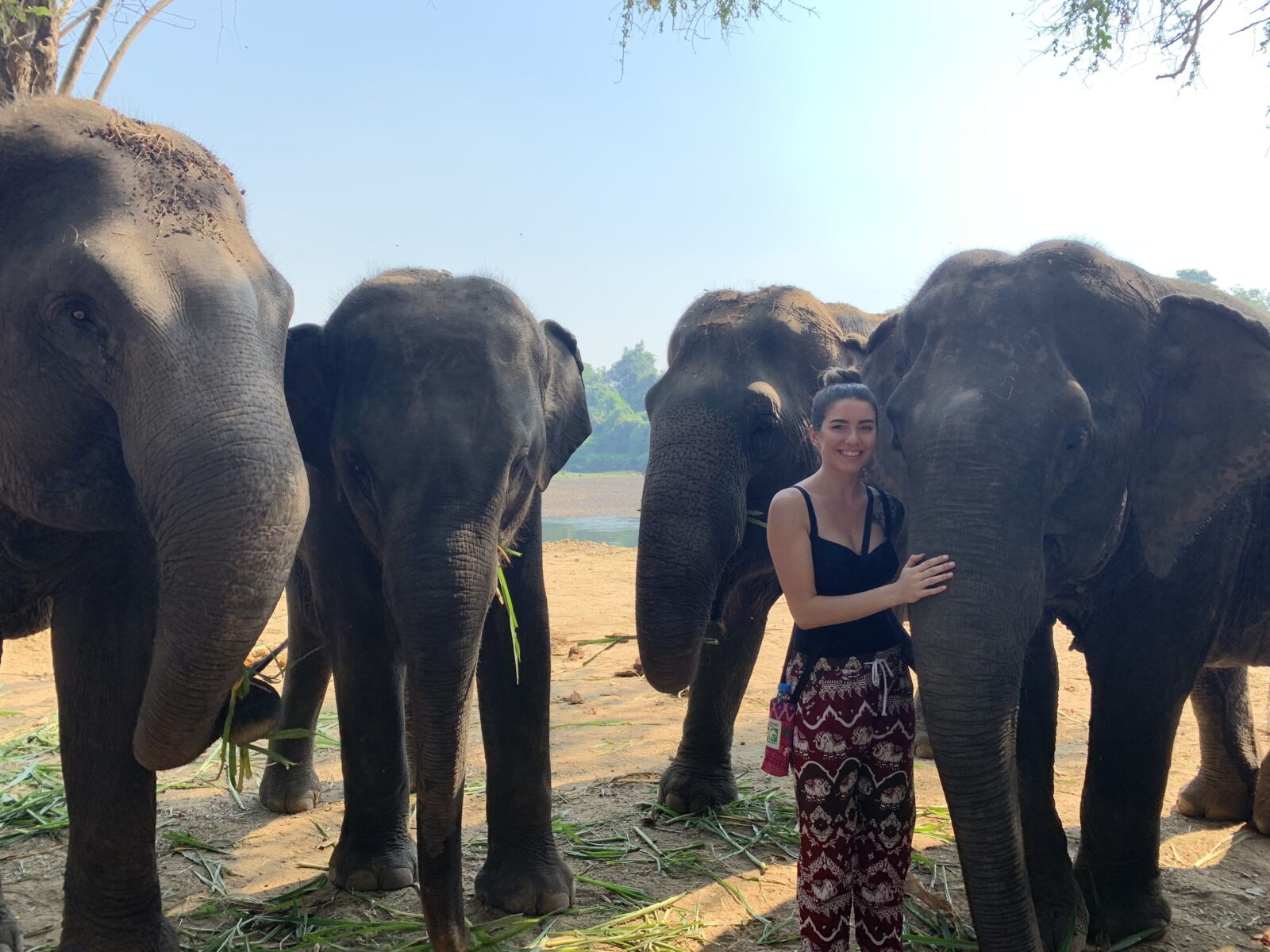 Smiling in Thailand with the Elephants