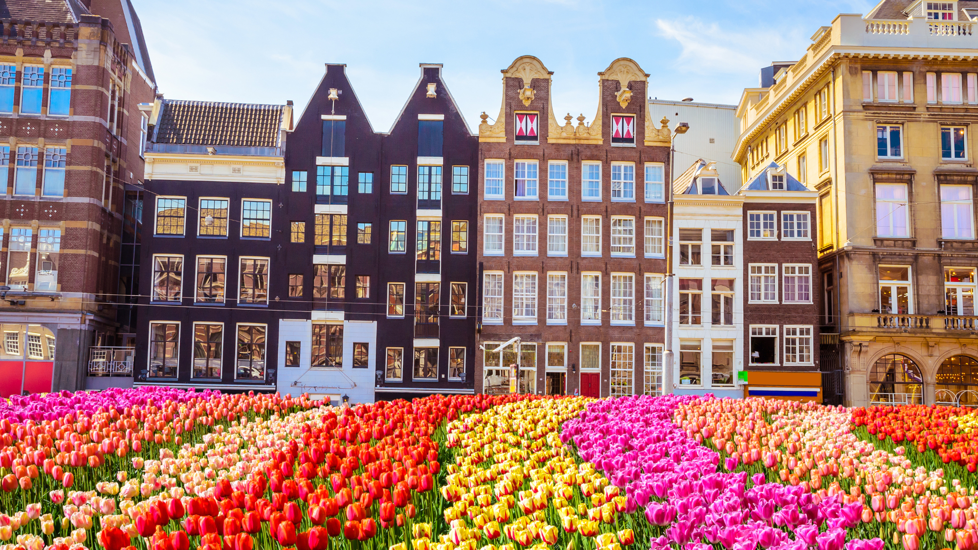 Rows of pink, orange, and yellow flowers in front of historic European buildings.