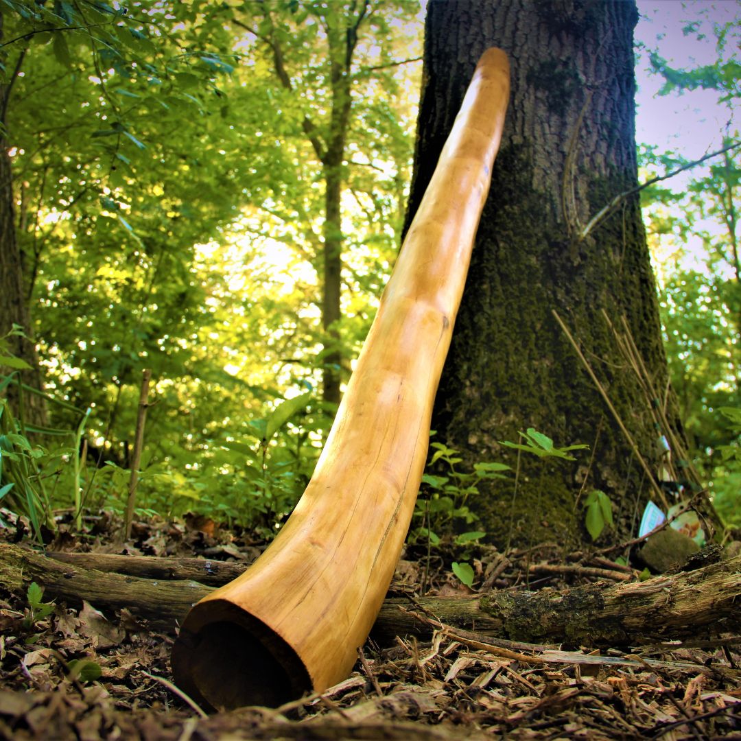 Wooden Didgeridoo instrument
